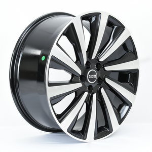 Rines 22x9.5 - 5x120