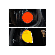 Load image into Gallery viewer, Calavera Platina 02-06 derecha
